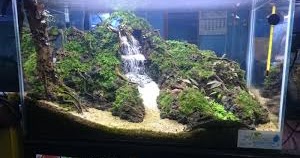 Detail Buat Air Terjun Aquascape Nomer 46