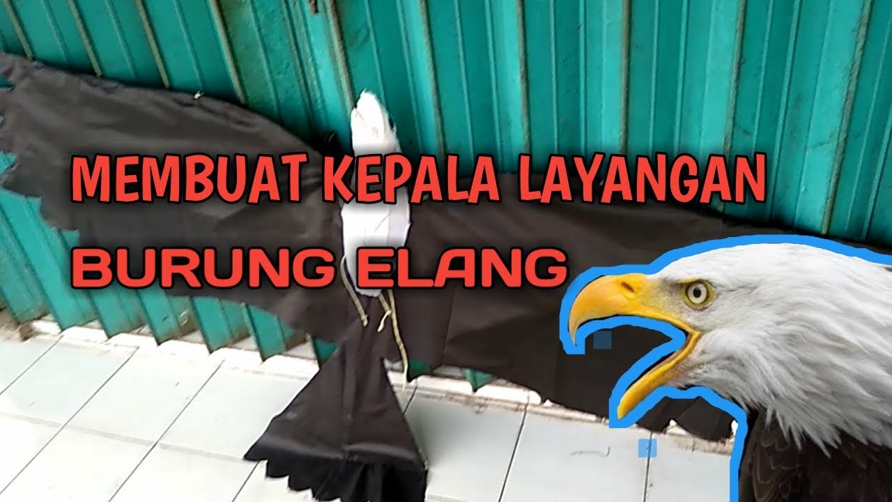 Detail Buat Layangan Burung Nomer 54