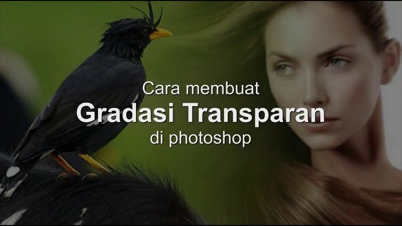 Detail Buat Transparan Gambar Di Photoshop Nomer 11