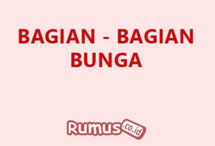 Detail Buatlah Gambar Bunga Lengkap Dengan Bagian Bagiannya Nomer 25