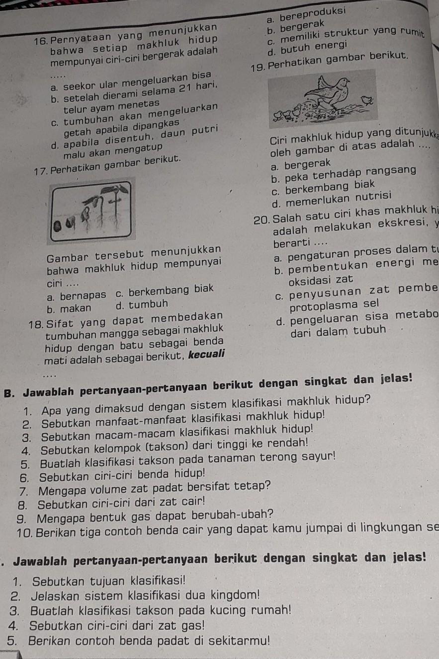 Detail Buatlah Klasifikasi Takson Pada Kucing Rumah Nomer 45