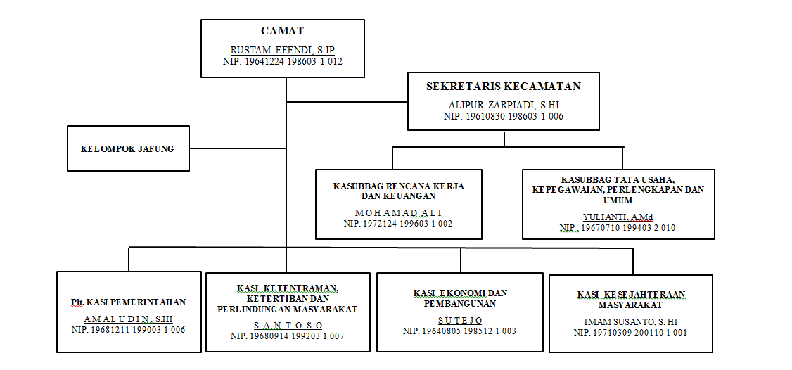 Detail Buatlah Struktur Organisasi Kantor Nomer 22