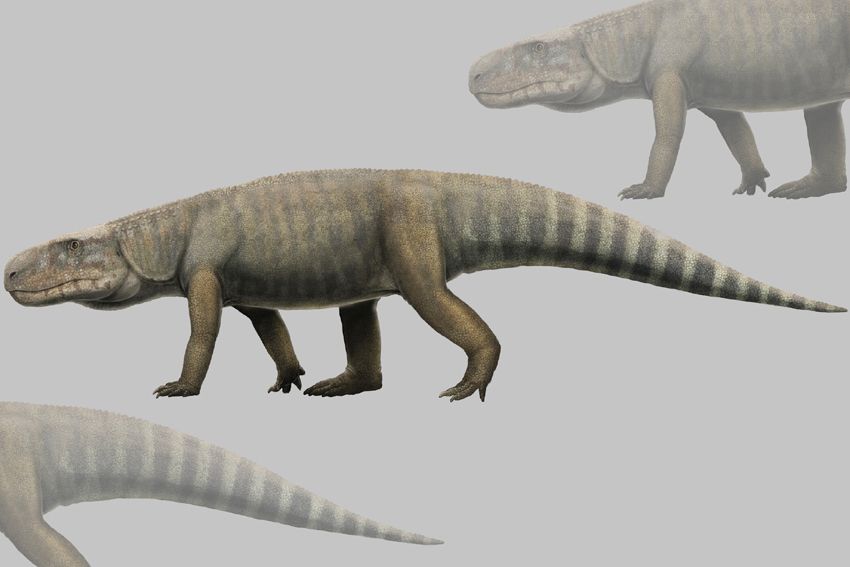 Detail Buaya Vs Dinosaurus Nomer 14