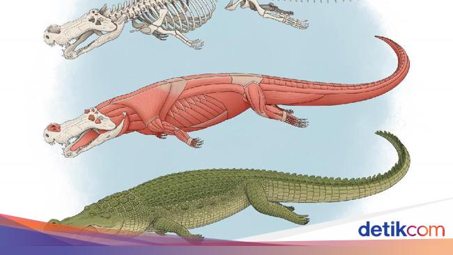 Detail Buaya Vs Dinosaurus Nomer 27