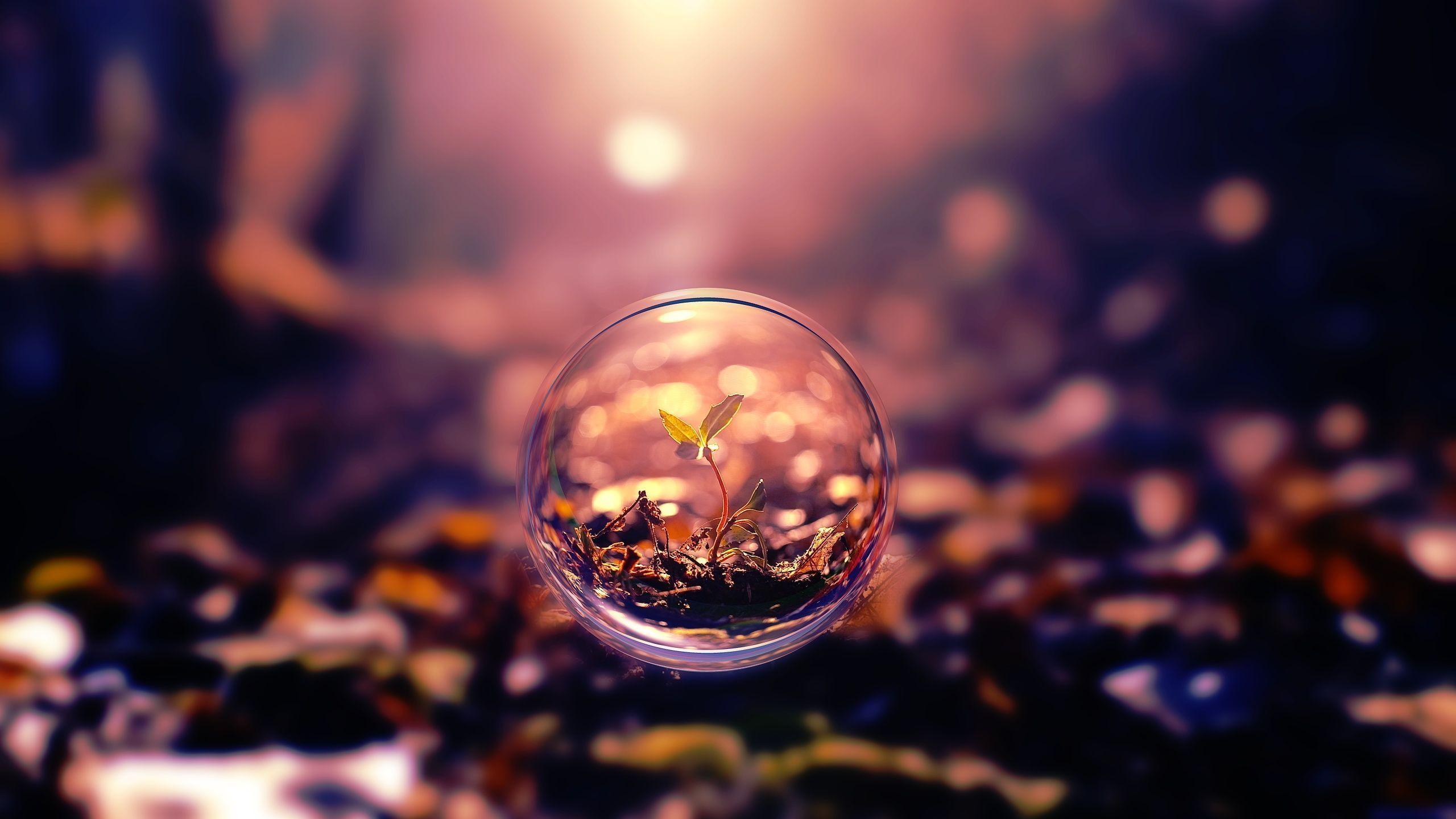 Detail Bubble Hd Nomer 26