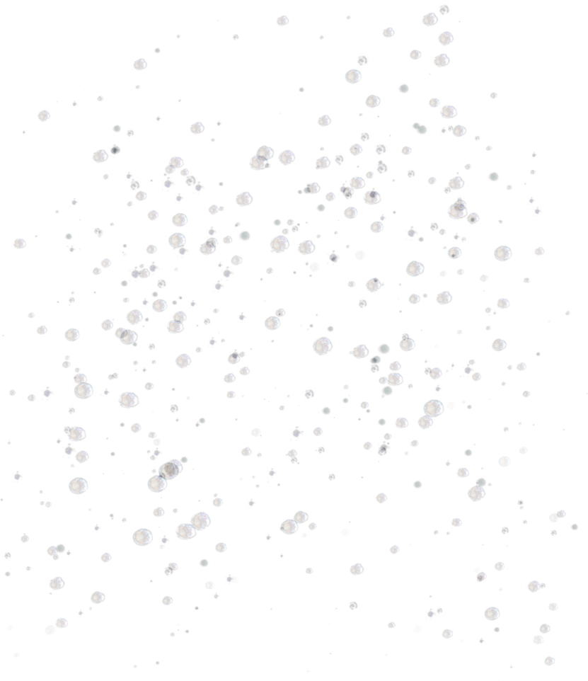 Detail Bubbles Transparent Background Nomer 12