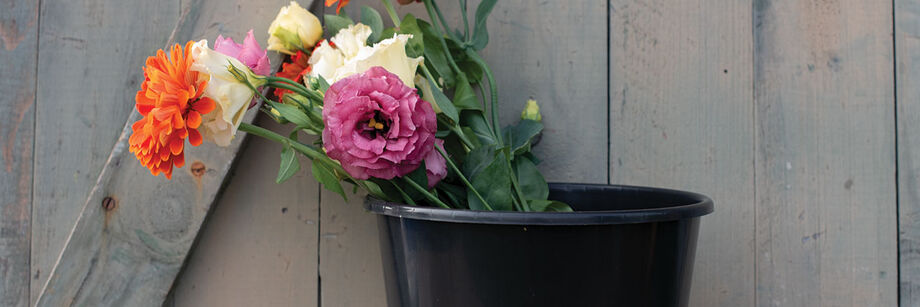 Detail Buckets Image Nomer 40
