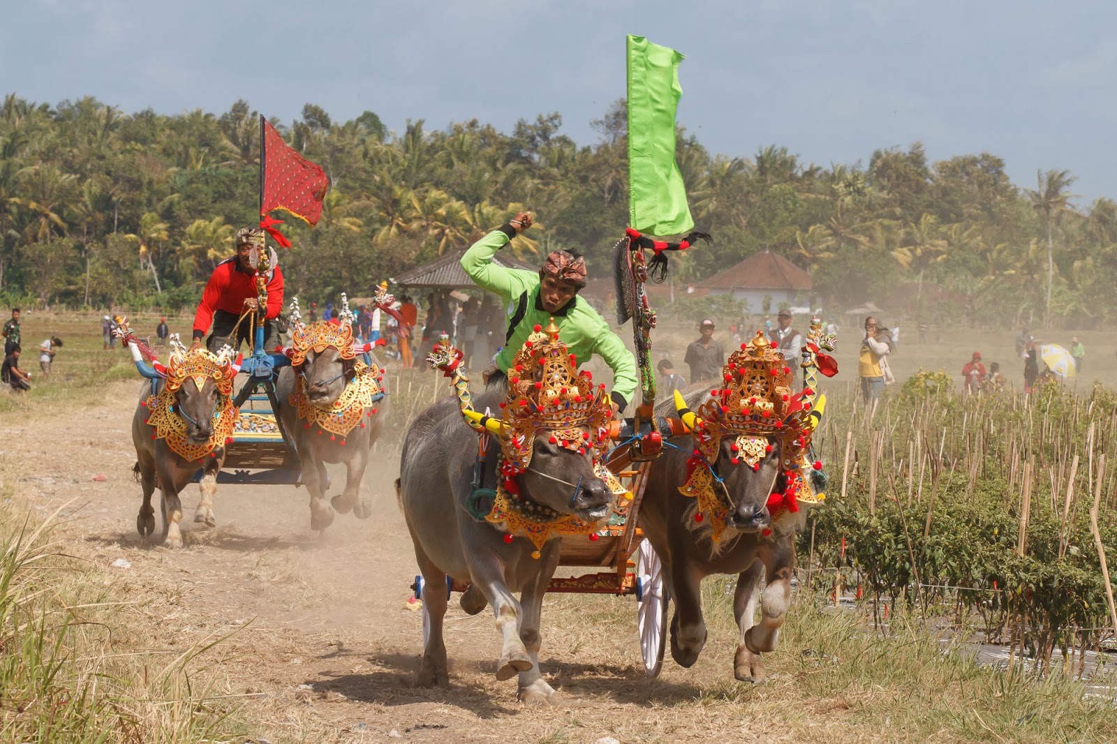 Detail Budaya Budaya Di Indonesia Nomer 40