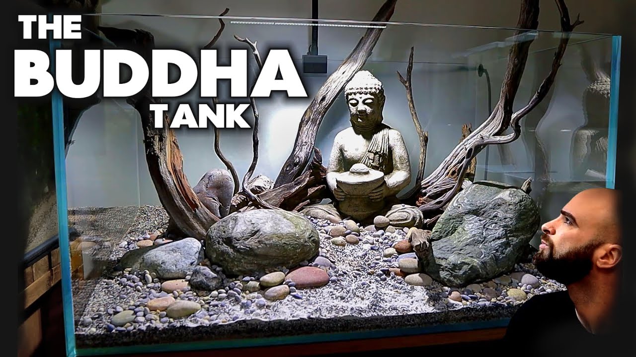 Detail Buddha Aquarium Statue Nomer 17