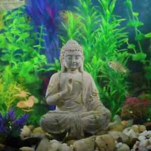 Detail Buddha Aquarium Statue Nomer 34