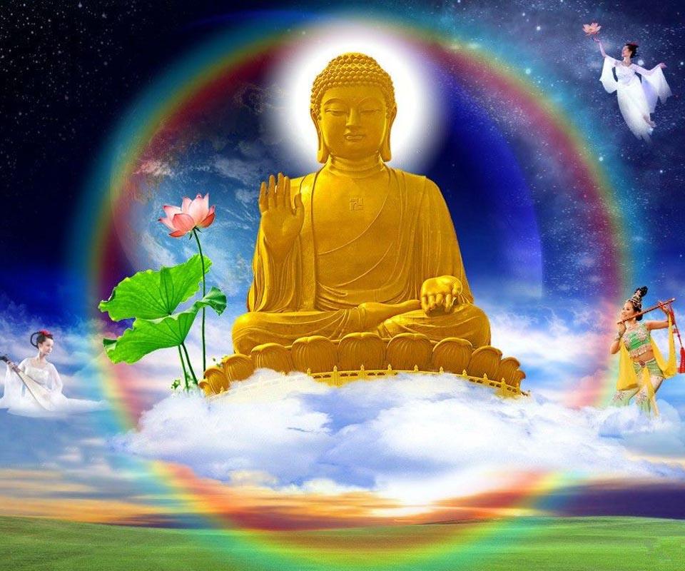 Detail Buddha Image Free Download Nomer 37