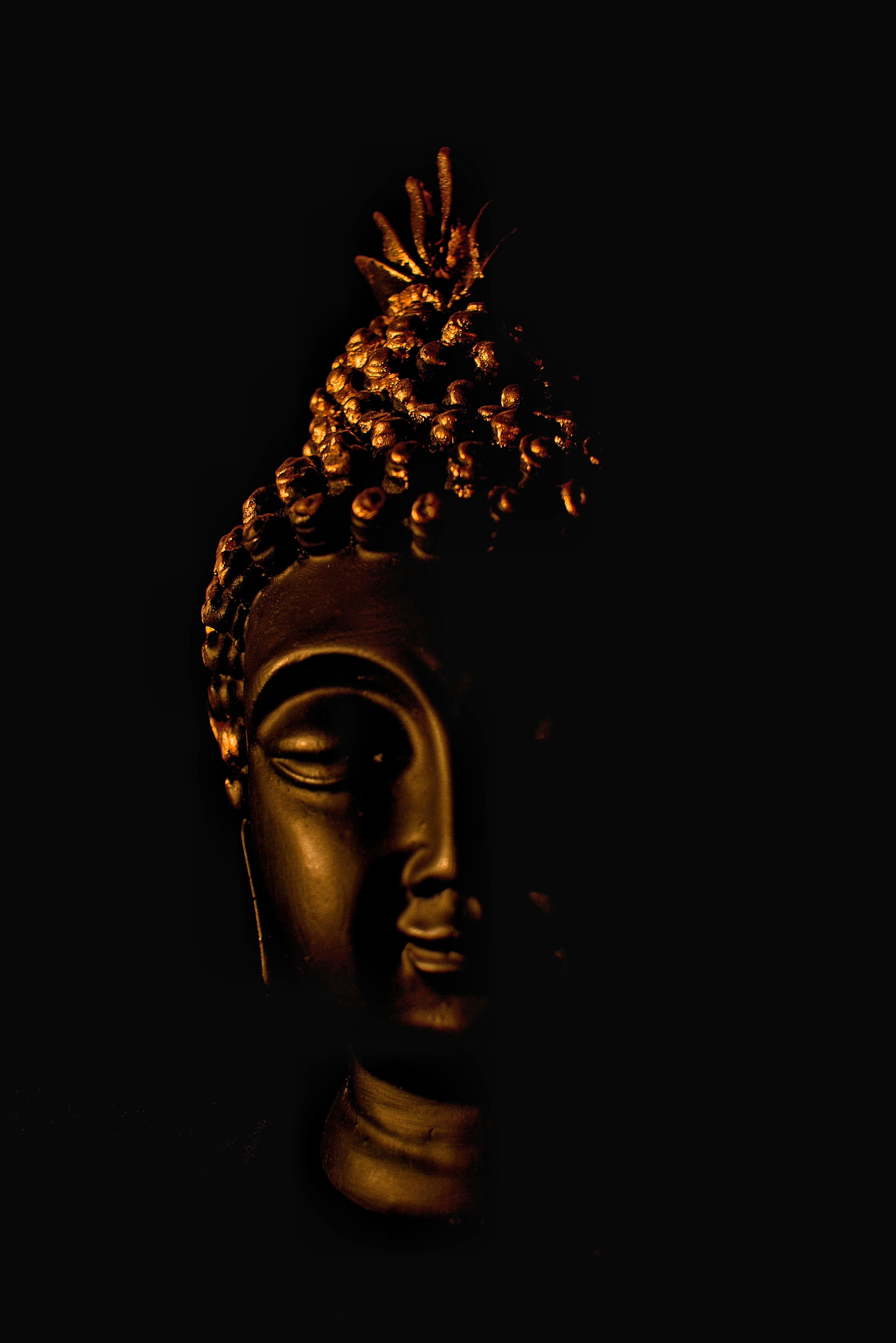 Detail Buddha Image Free Download Nomer 50