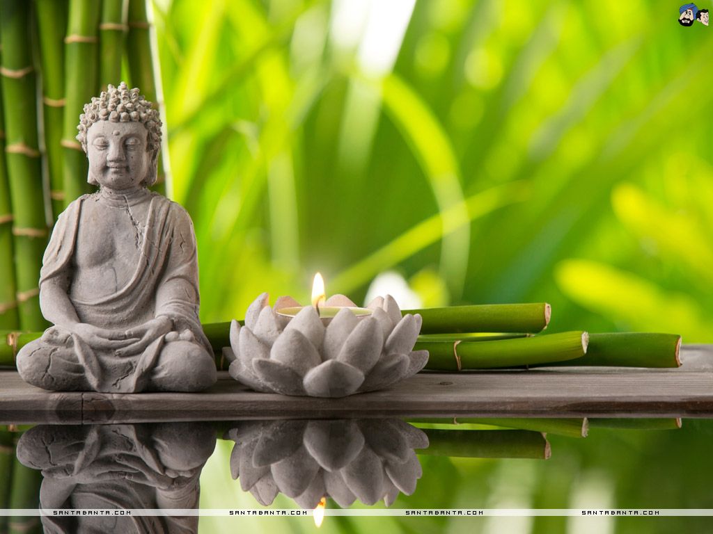 Detail Buddha Image Free Download Nomer 54