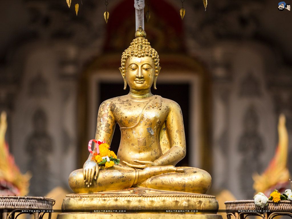 Detail Buddha Images Free Download Nomer 25