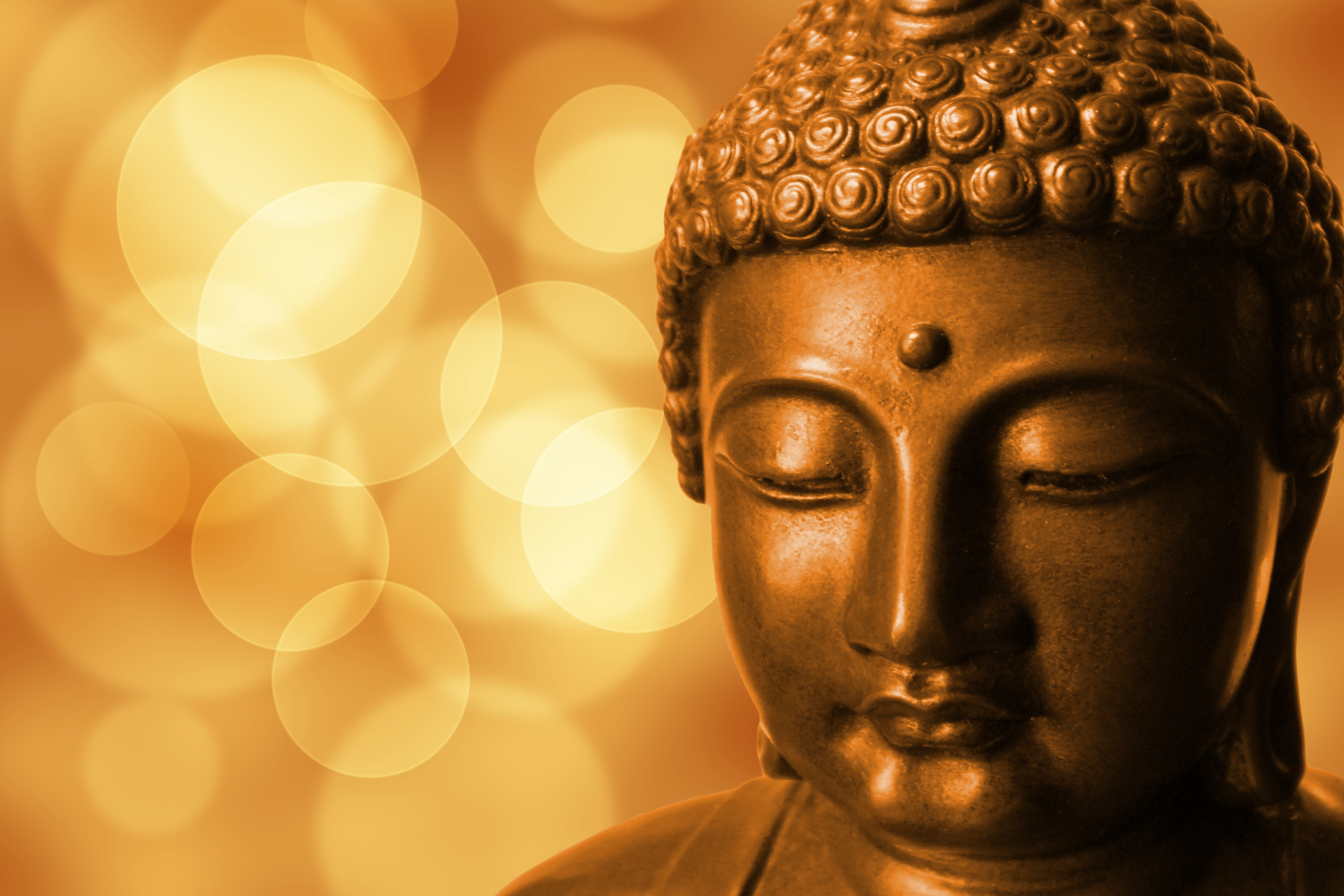 Detail Buddha Images Free Download Nomer 51