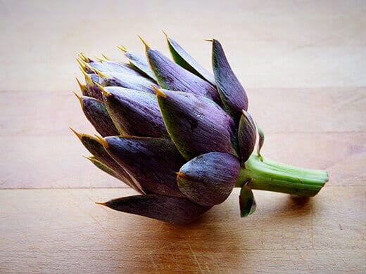 Detail Budding Artichoke Nomer 36