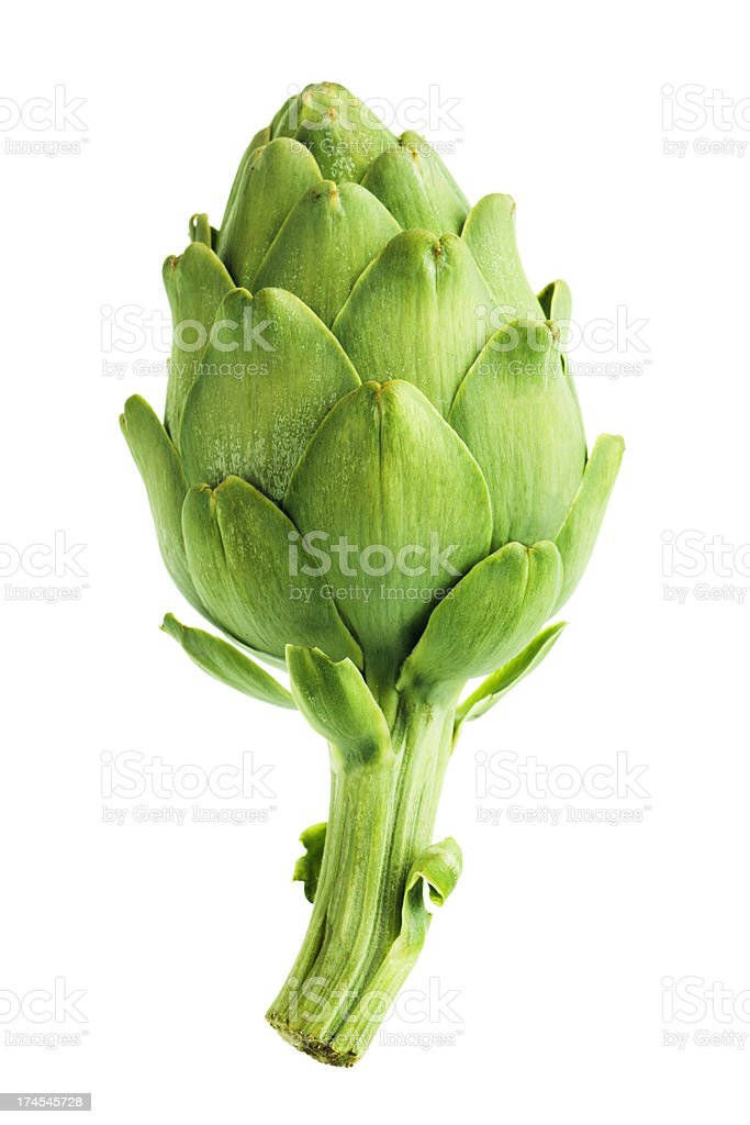 Detail Budding Artichoke Nomer 53