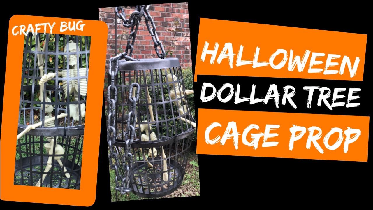 Detail Bug Cage Dollar Tree Nomer 38