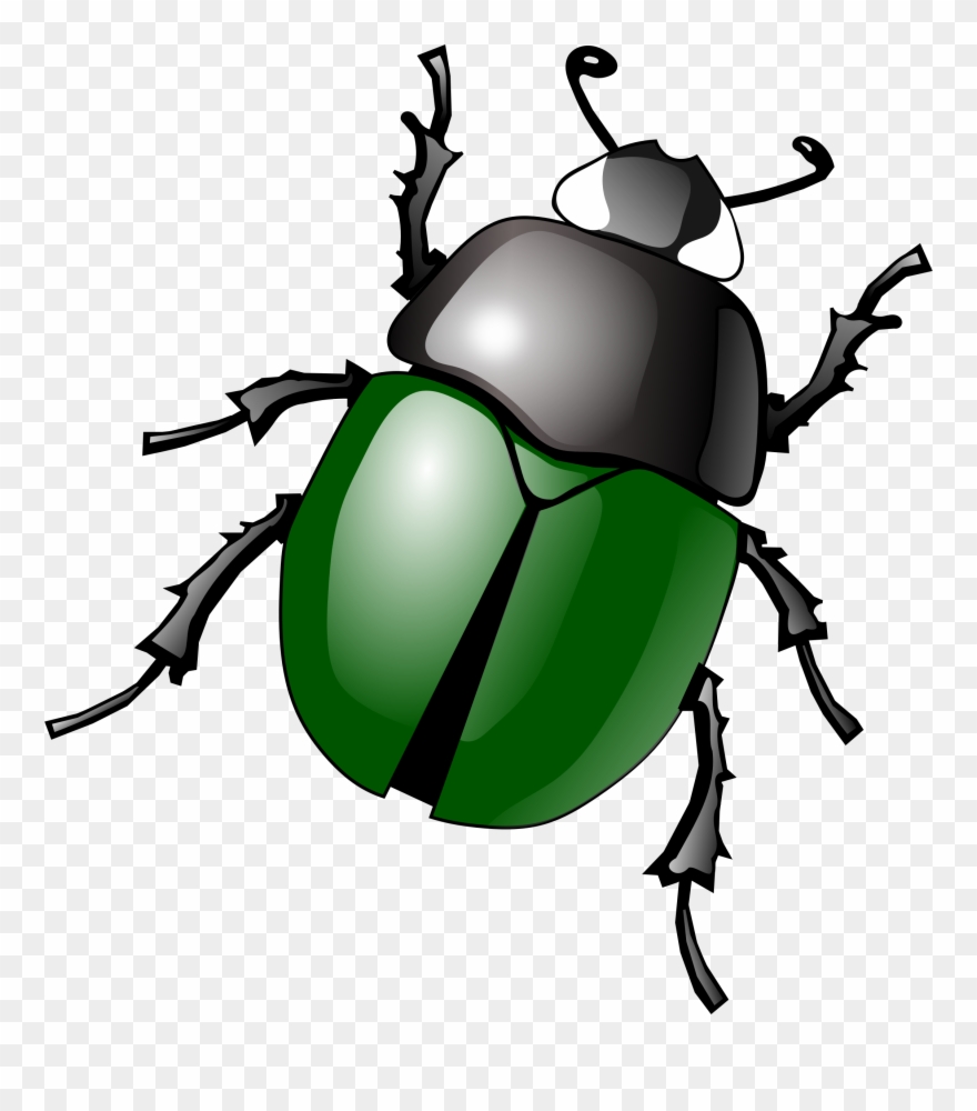 Detail Bug Clip Art Nomer 28