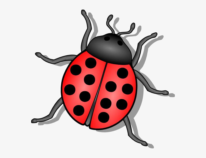 Bug Clipart - KibrisPDR