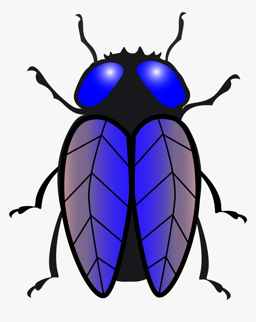 Detail Bug Clipart Nomer 11