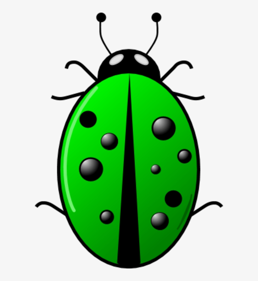 Detail Bug Clipart Nomer 19