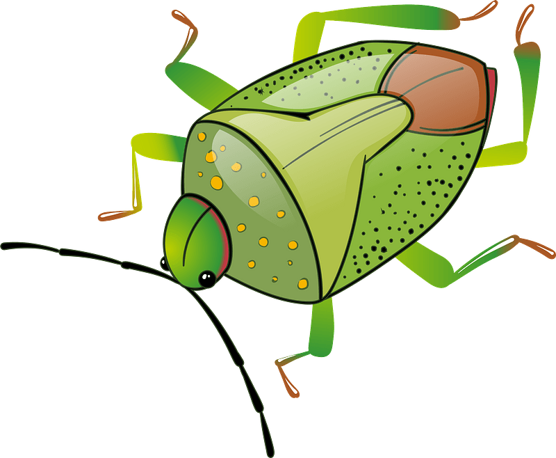 Detail Bug Clipart Nomer 29