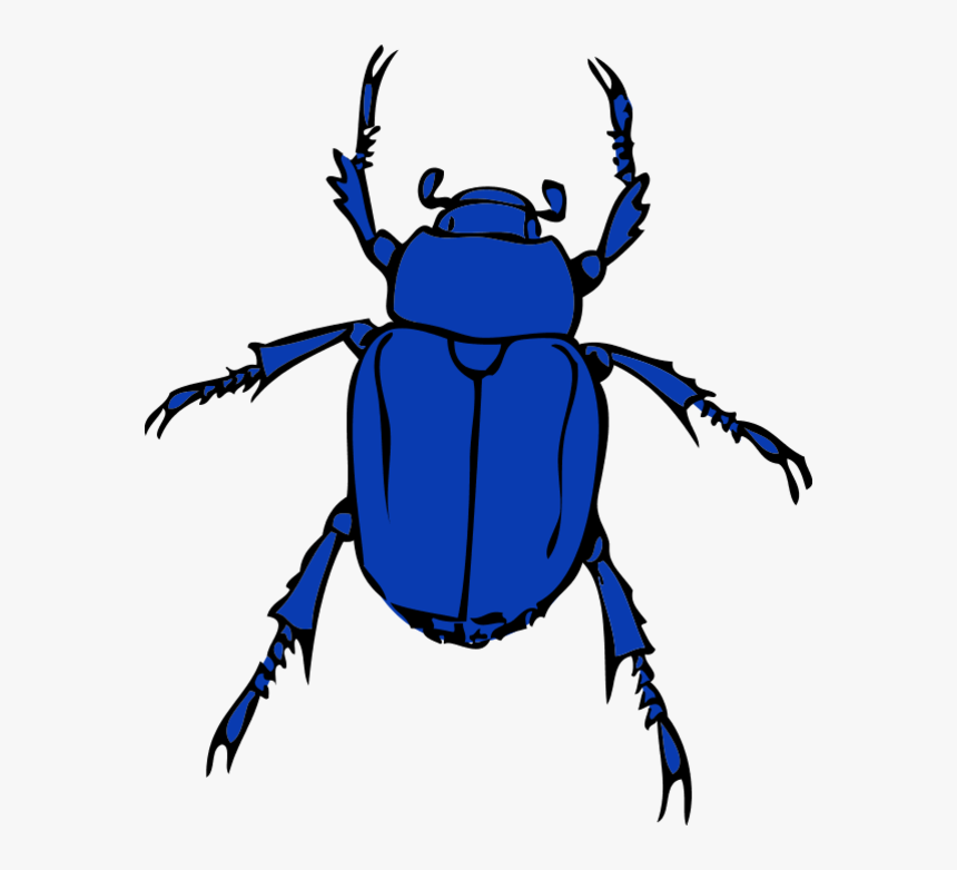 Detail Bug Clipart Nomer 44