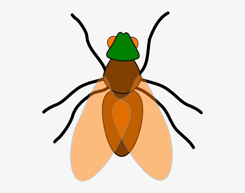 Detail Bug Clipart Nomer 45