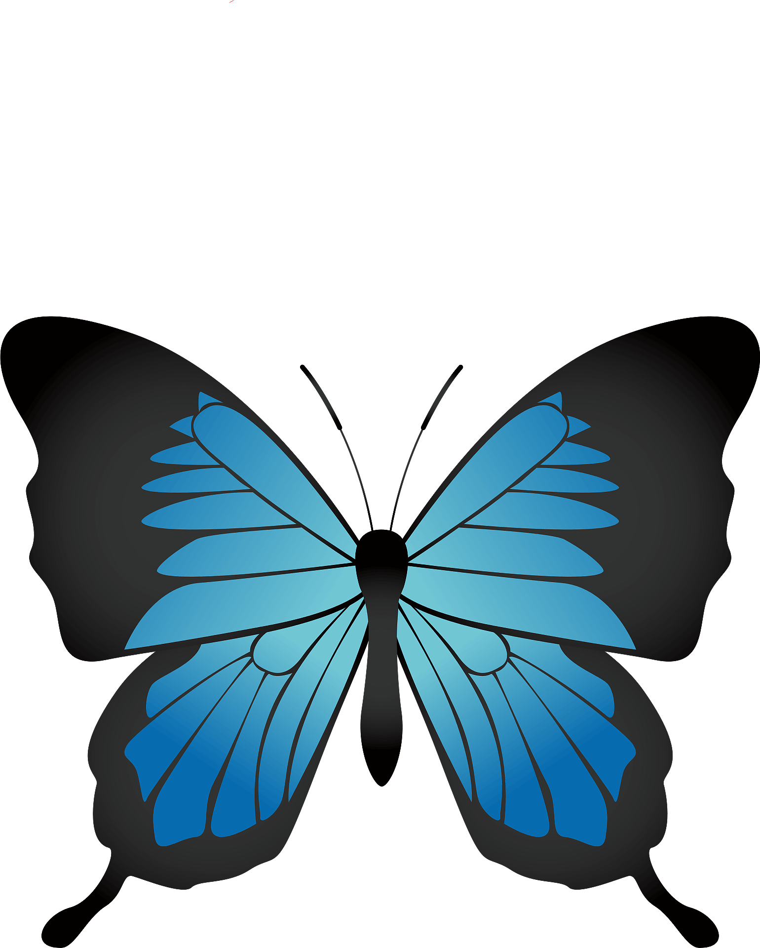 Detail Bug Clipart Nomer 49