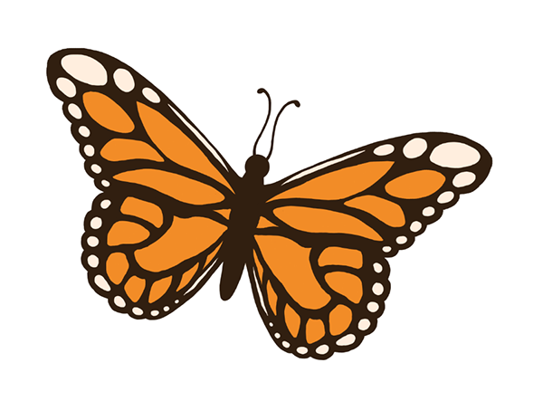Detail Bug Clipart Nomer 51