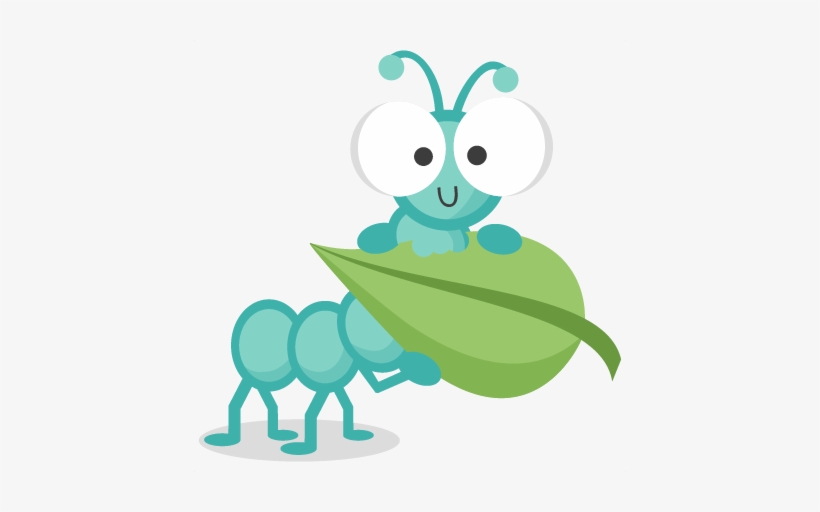 Detail Bug Clipart Nomer 52