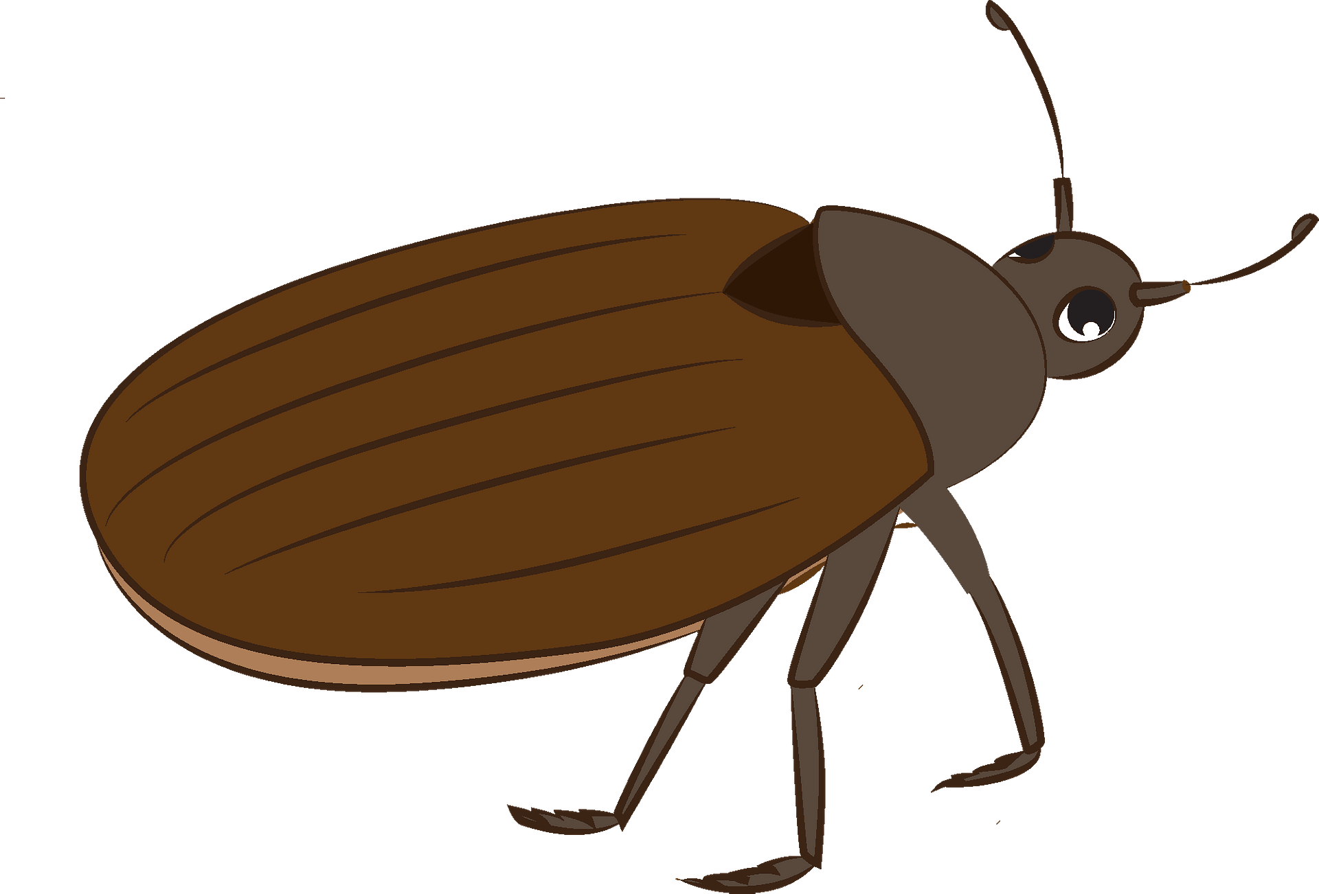 Detail Bug Clipart Nomer 9