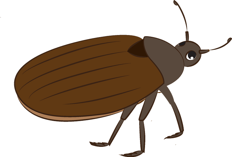 Detail Bug Clipart Free Nomer 18