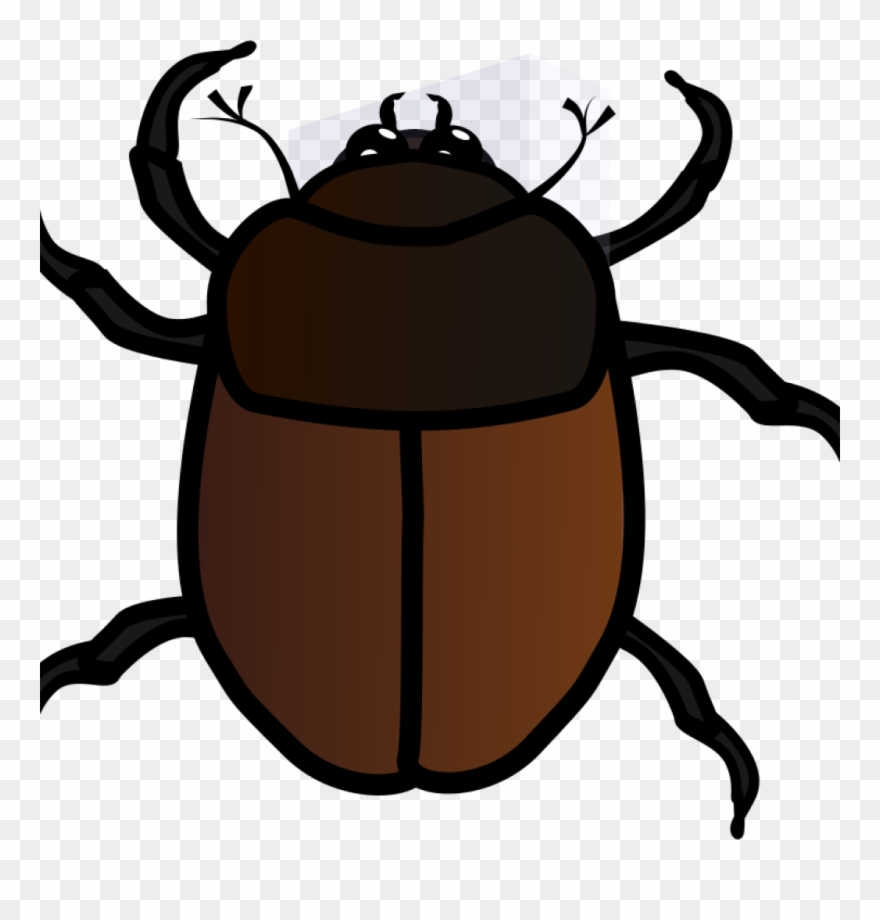 Detail Bug Clipart Free Nomer 24