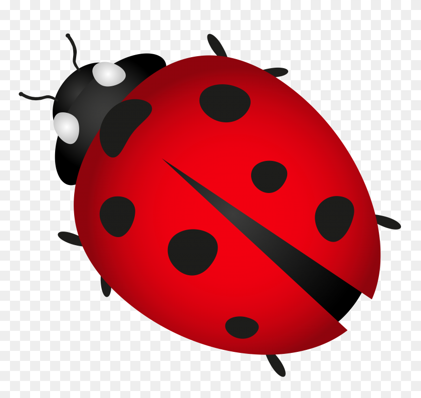 Detail Bug Clipart Free Nomer 32