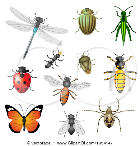 Detail Bug Clipart Free Nomer 35