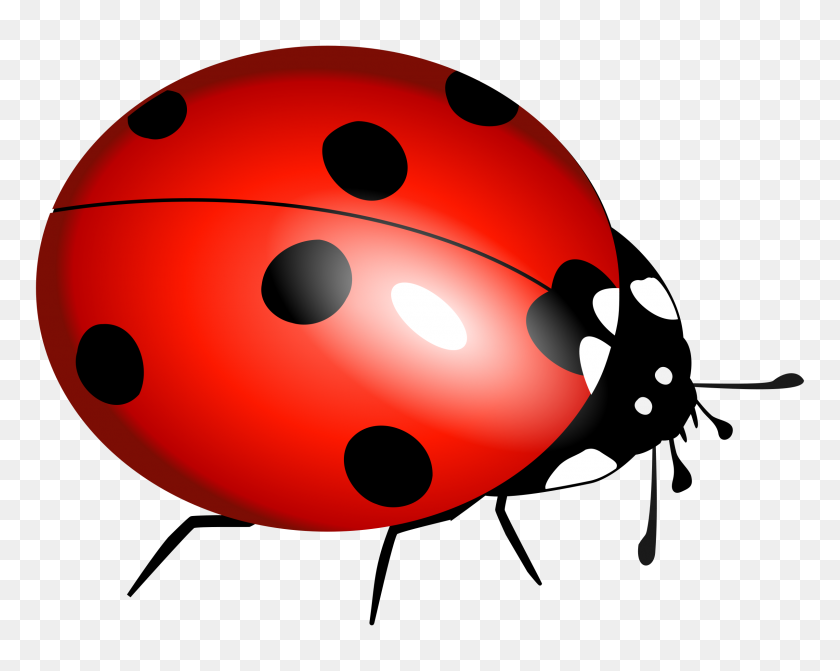 Detail Bug Clipart Images Nomer 7