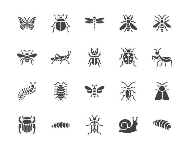 Detail Bug Illustrations Nomer 12
