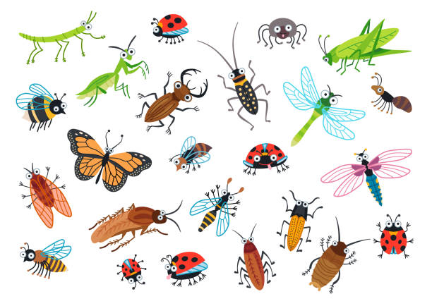 Detail Bug Illustrations Nomer 13