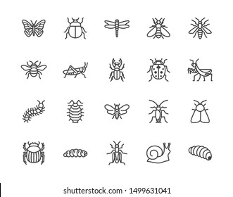 Detail Bug Illustrations Nomer 18