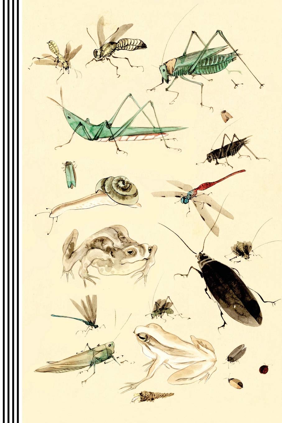 Detail Bug Illustrations Nomer 22