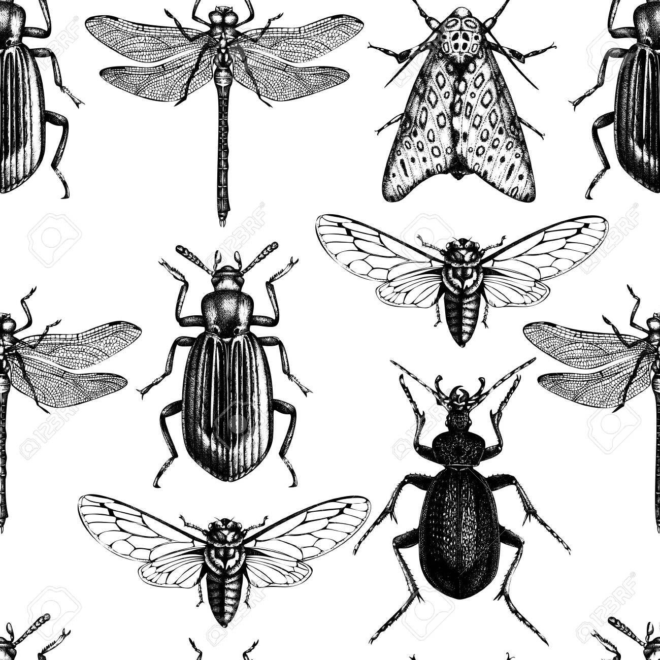 Detail Bug Illustrations Nomer 24