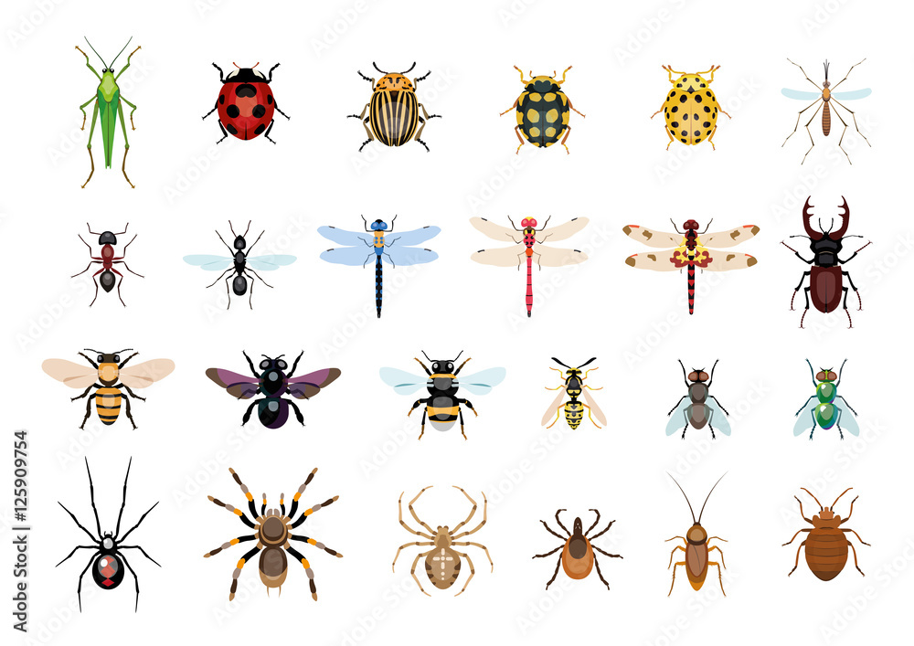 Detail Bug Illustrations Nomer 25