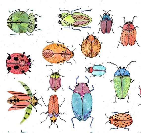 Detail Bug Illustrations Nomer 28