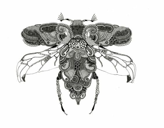 Detail Bug Illustrations Nomer 40