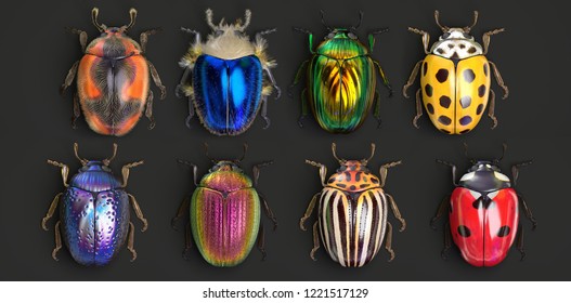 Detail Bug Illustrations Nomer 42