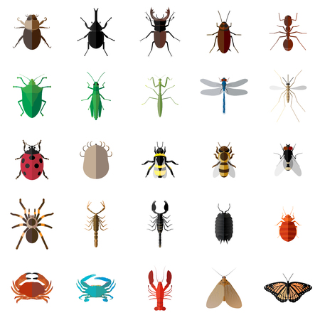 Detail Bug Illustrations Nomer 49