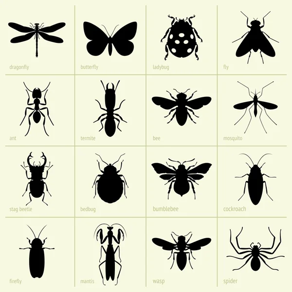 Detail Bug Illustrations Nomer 51