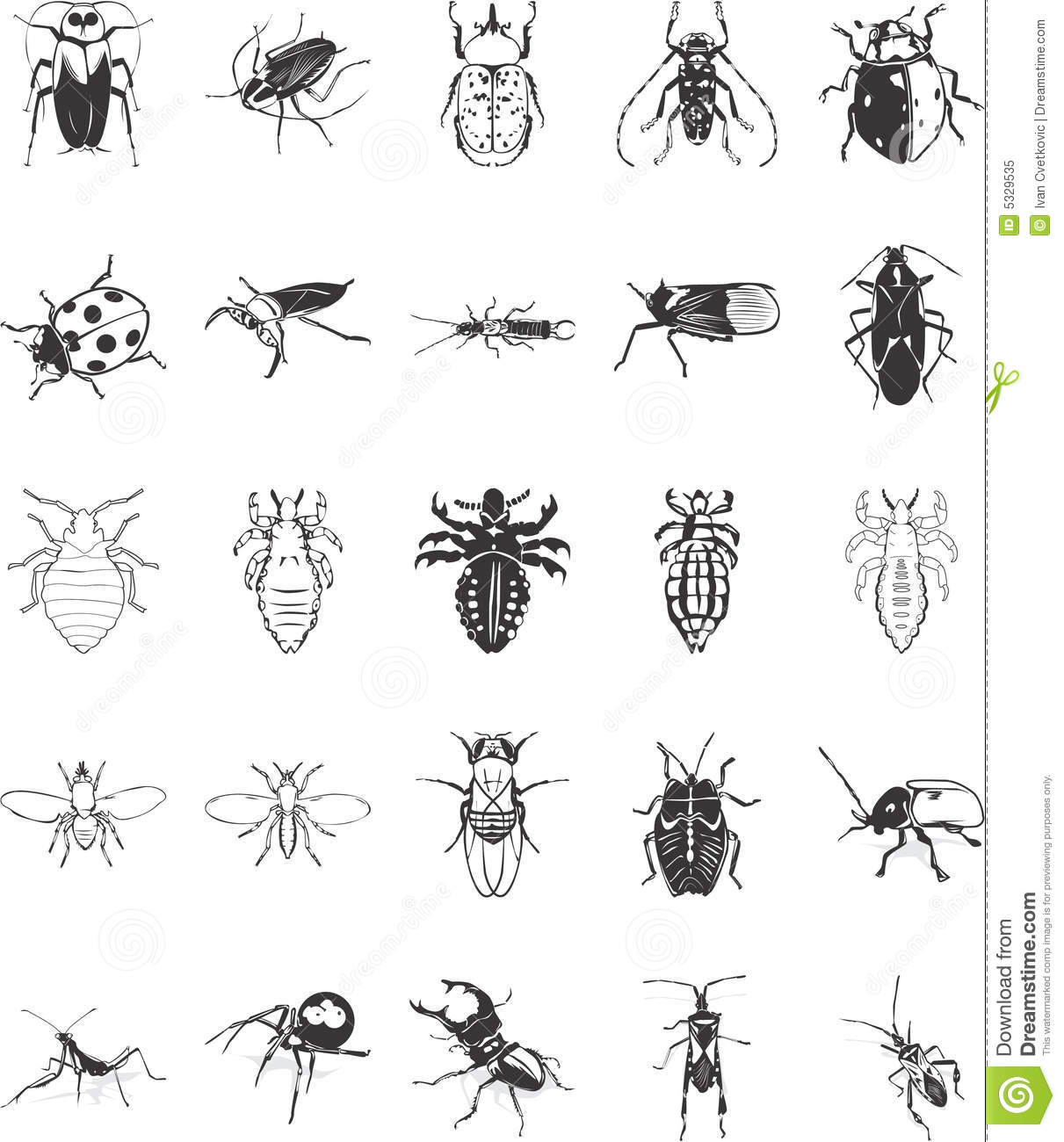 Detail Bug Illustrations Nomer 7